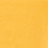 Mustard Yellow Palazzo Suit